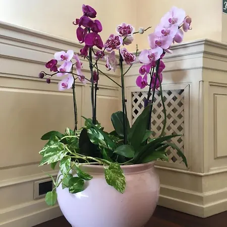 Villino Margherita 4* Rome
